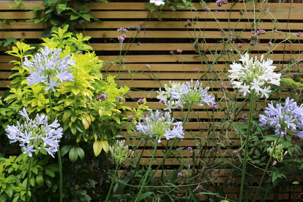 Shoreditch 1 With Garden Londres Quarto foto